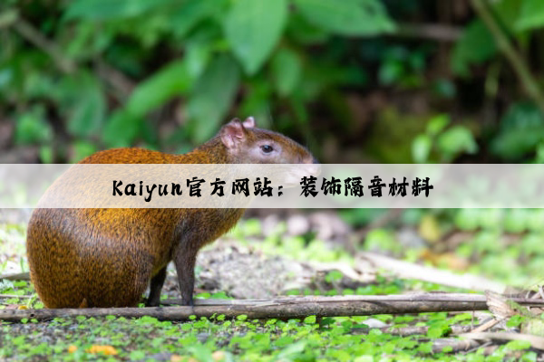 Kaiyun官方网站：装饰隔音材料